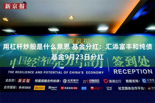 用杠杆炒股是什么意思 基金分红：汇添富丰和纯债基金9月23日分红