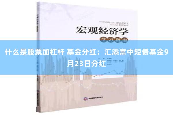 什么是股票加杠杆 基金分红：汇添富中短债基金9月23日分红