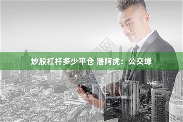 炒股杠杆多少平仓 潘阿虎：公交缘