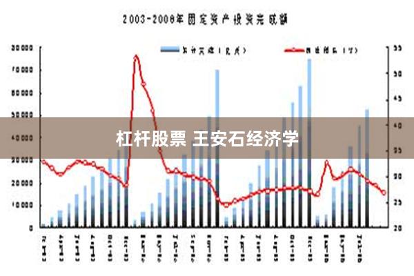 杠杆股票 王安石经济学