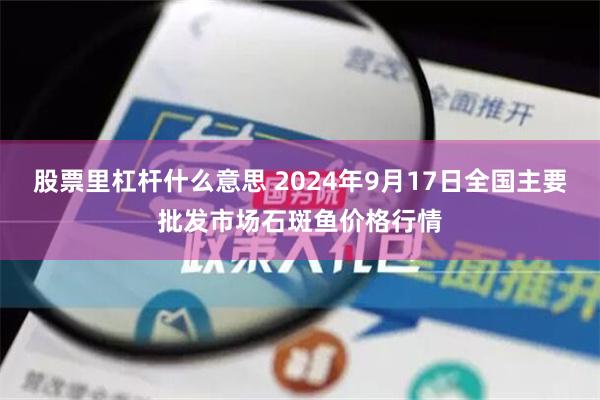 股票里杠杆什么意思 2024年9月17日全国主要批发市场石斑鱼价格行情