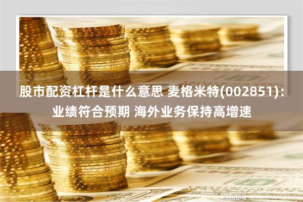 股市配资杠杆是什么意思 麦格米特(002851)：业绩符合预期 海外业务保持高增速