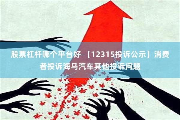 股票杠杆哪个平台好 【12315投诉公示】消费者投诉海马汽车其他投诉问题