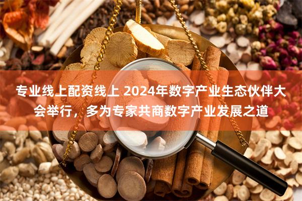 专业线上配资线上 2024年数字产业生态伙伴大会举行，多为专家共商数字产业发展之道