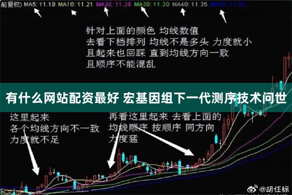 有什么网站配资最好 宏基因组下一代测序技术问世