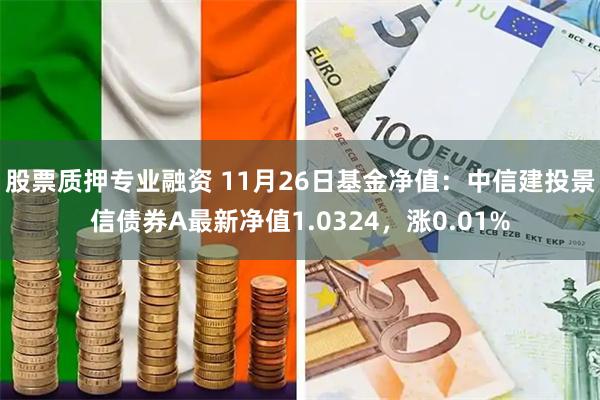 股票质押专业融资 11月26日基金净值：中信建投景信债券A最新净值1.0324，涨0.01%