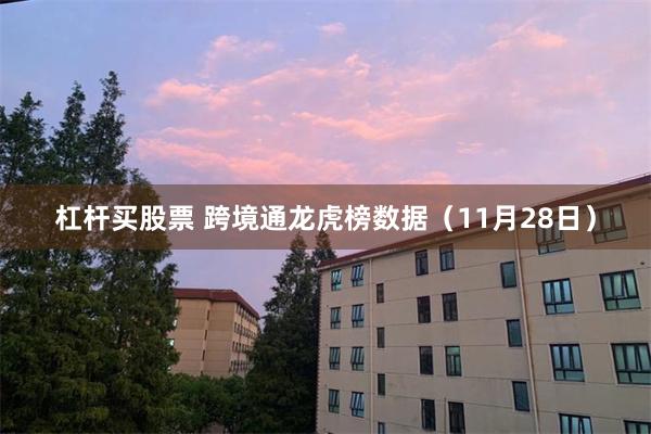杠杆买股票 跨境通龙虎榜数据（11月28日）