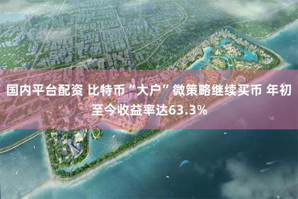 国内平台配资 比特币“大户”微策略继续买币 年初至今收益率达63.3%