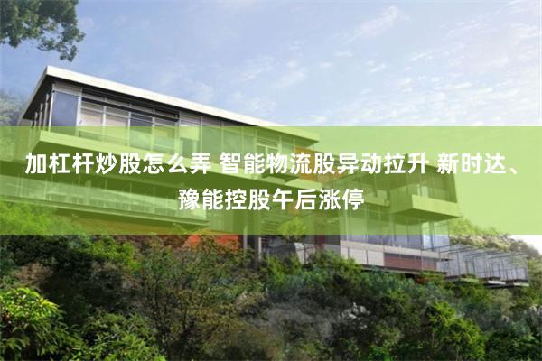 加杠杆炒股怎么弄 智能物流股异动拉升 新时达、豫能控股午后涨停