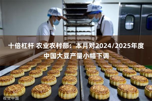 十倍杠杆 农业农村部：本月对2024/2025年度中国大豆产量小幅下调