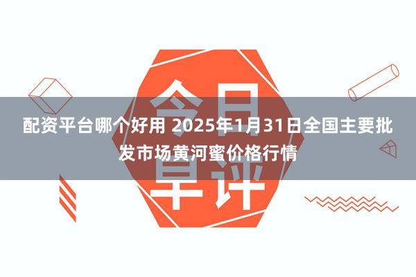 配资平台哪个好用 2025年1月31日全国主要批发市场黄河蜜价格行情