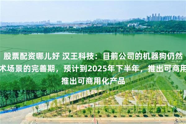 股票配资哪儿好 汉王科技：目前公司的机器狗仍然处于技术场景的完善期，预计到2025年下半年，推出可商用化产品