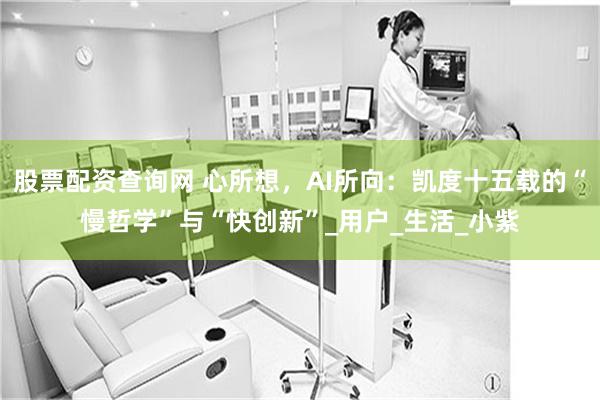 股票配资查询网 心所想，AI所向：凯度十五载的“慢哲学”与“快创新”_用户_生活_小紫