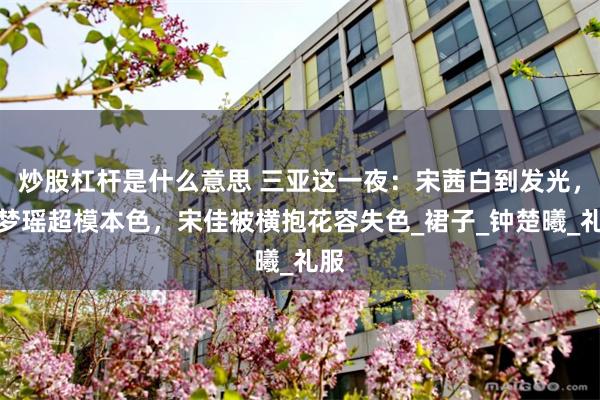 炒股杠杆是什么意思 三亚这一夜：宋茜白到发光，奚梦瑶超模本色，宋佳被横抱花容失色_裙子_钟楚曦_礼服