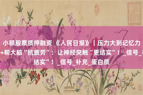 小额股票质押融资 《人民日报》︱压力大到记忆力下降？NAD+帮大脑“抗疲劳”：让神经突触“更结实”！_信号_补充_蛋白质