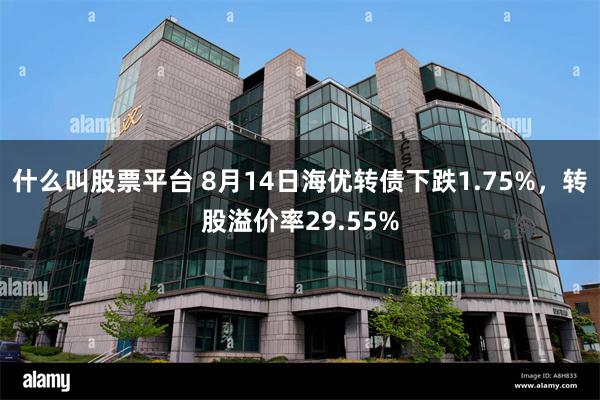 什么叫股票平台 8月14日海优转债下跌1.75%，转股溢价率29.55%