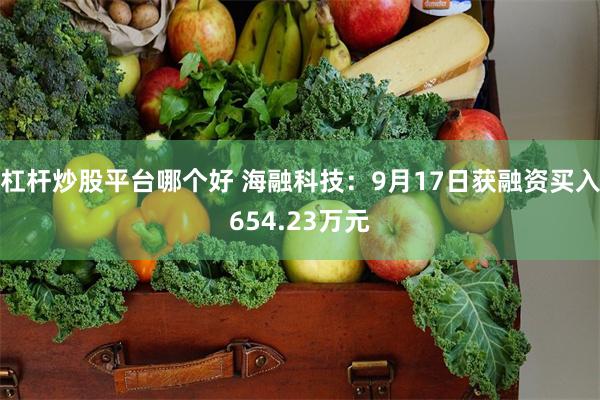 杠杆炒股平台哪个好 海融科技：9月17日获融资买入654.23万元